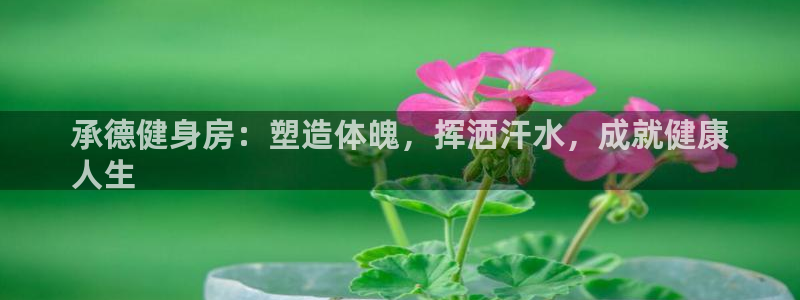 z6尊龙官网